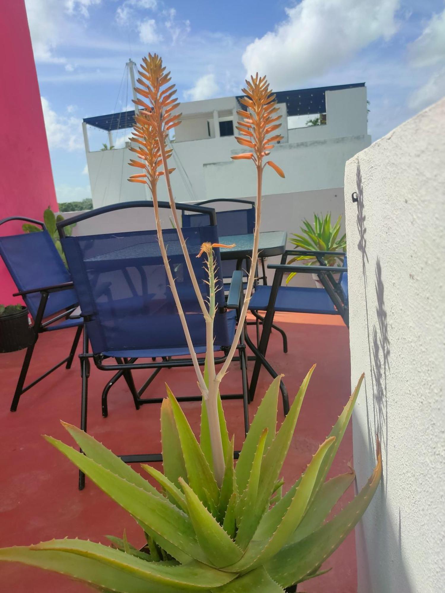 칸쿤 Casa Coraza 아파트 외부 사진